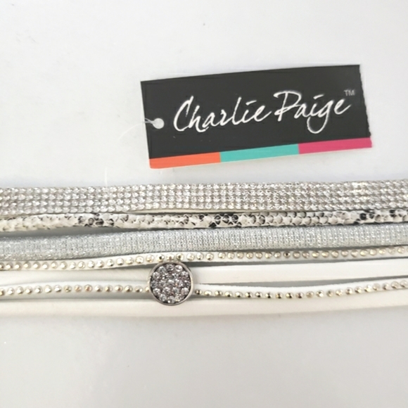 Bundle Charlie Paige and Story by DaVinci Bracelets NWT - Picture 9 of 11